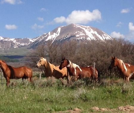 Mount Peale Country Inn La Sal ภายนอก รูปภาพ