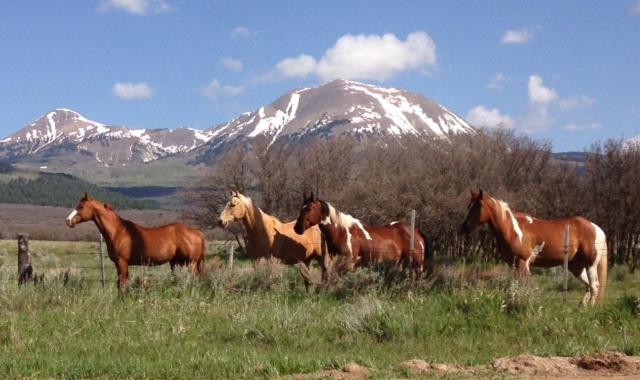 Mount Peale Country Inn La Sal ภายนอก รูปภาพ