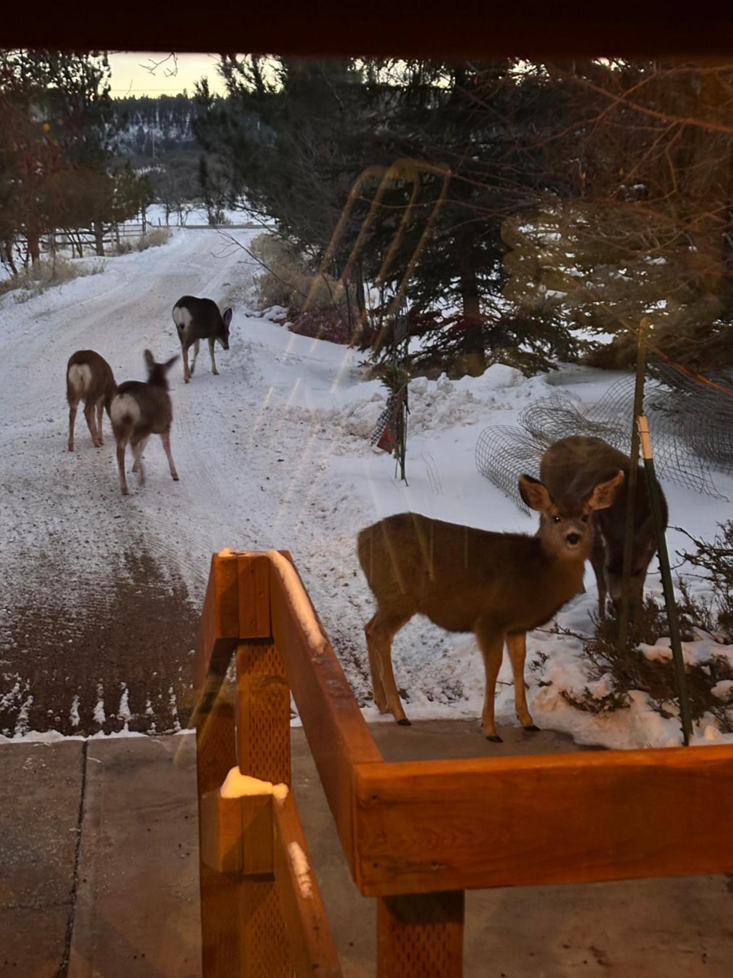 Mount Peale Country Inn La Sal ภายนอก รูปภาพ