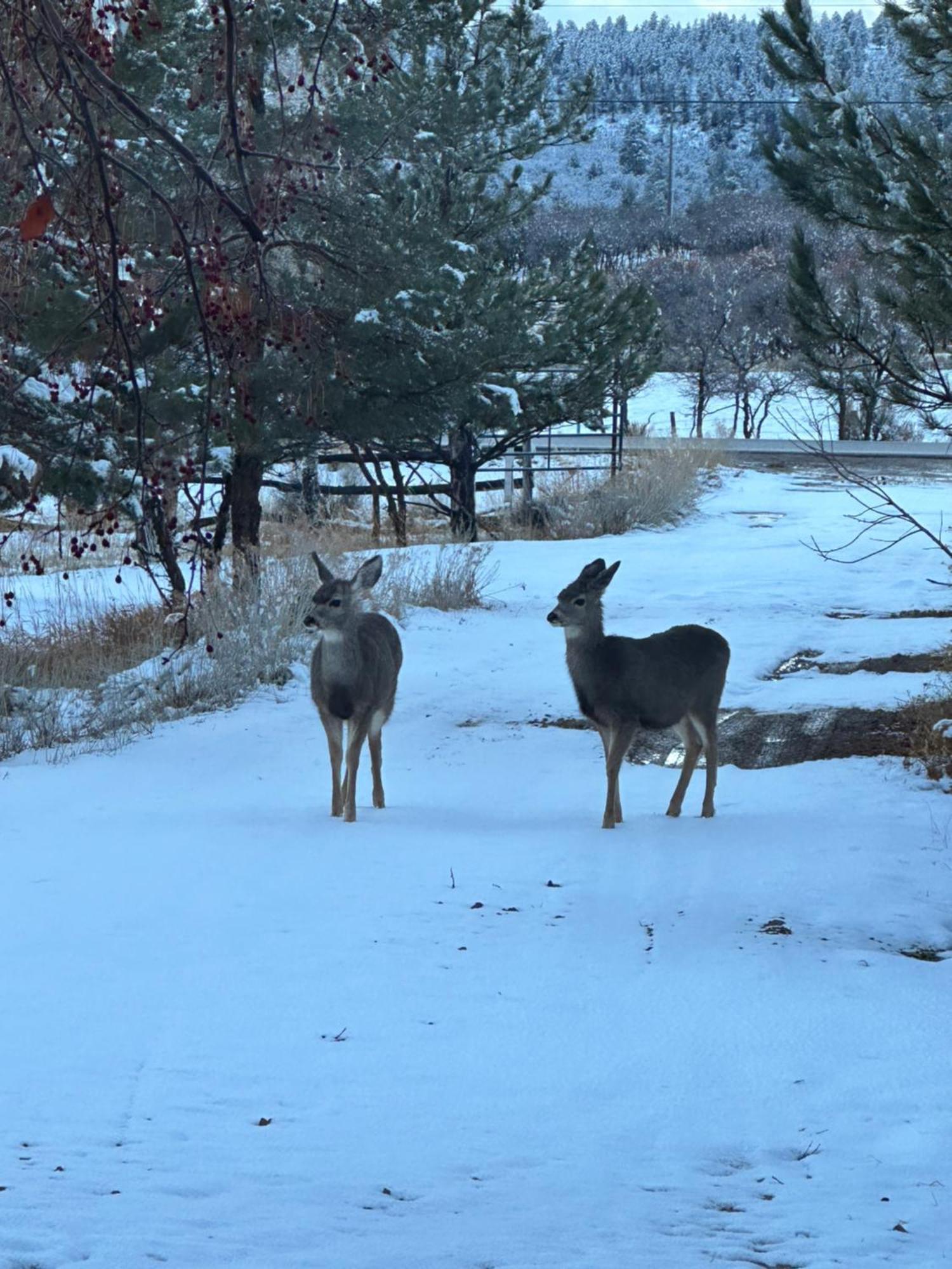 Mount Peale Country Inn La Sal ภายนอก รูปภาพ